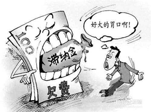 社保滯納金怎么算? 第1張 社保滯納金怎么算? 第1張