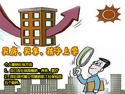 自己個人如何繳納社保? 第1張 自己個人如何繳納社保? 第1張